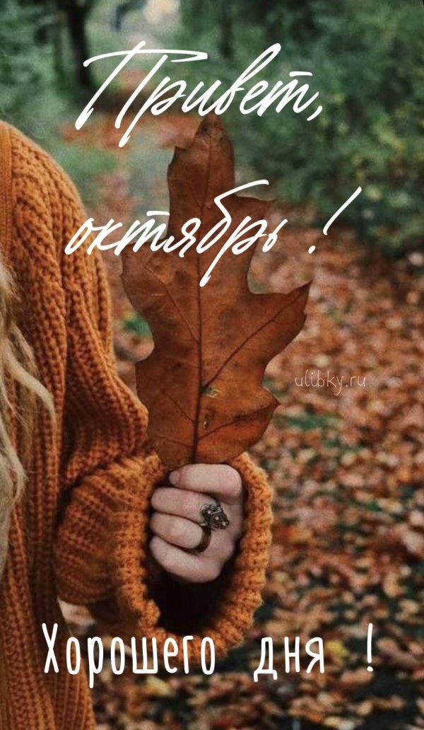 фотосессия в октябре