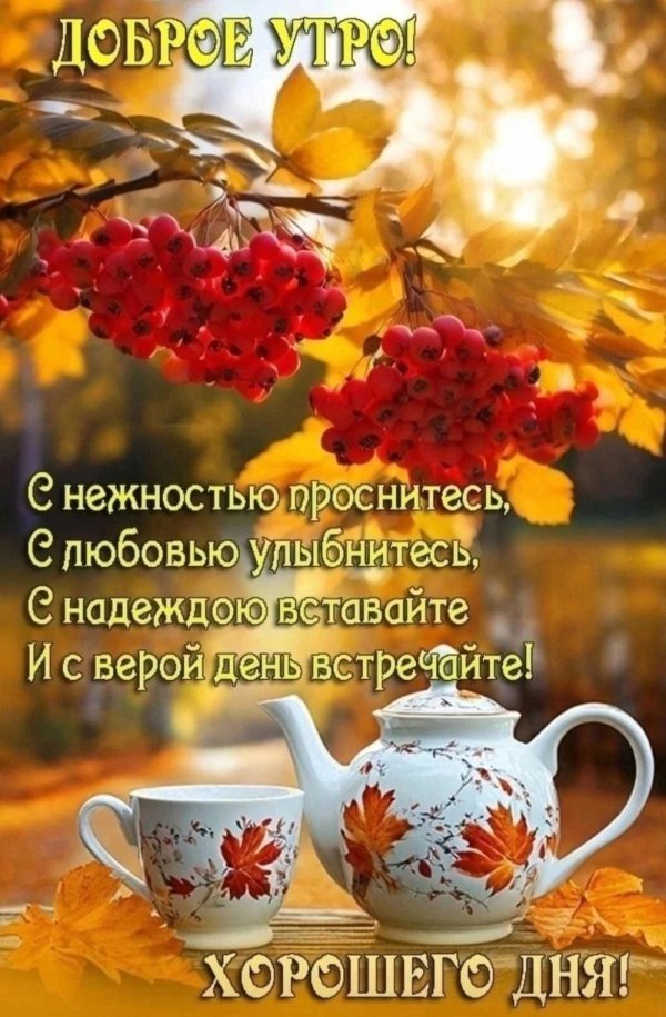 добрейшего осеннего утра