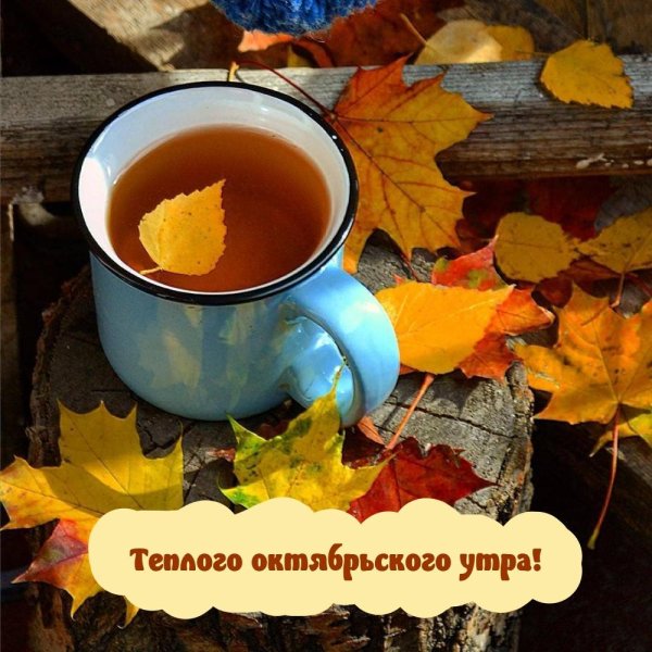 утро листопад