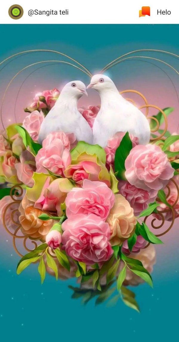 пара голубей