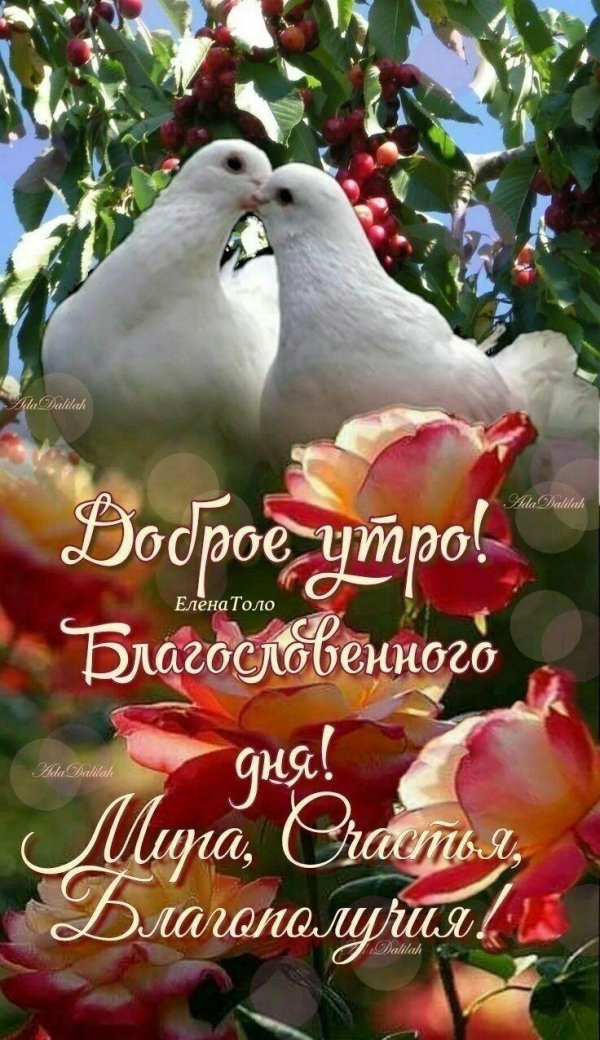 доброго утра всем