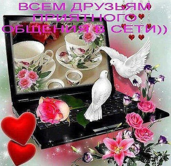 добрый день с голубями