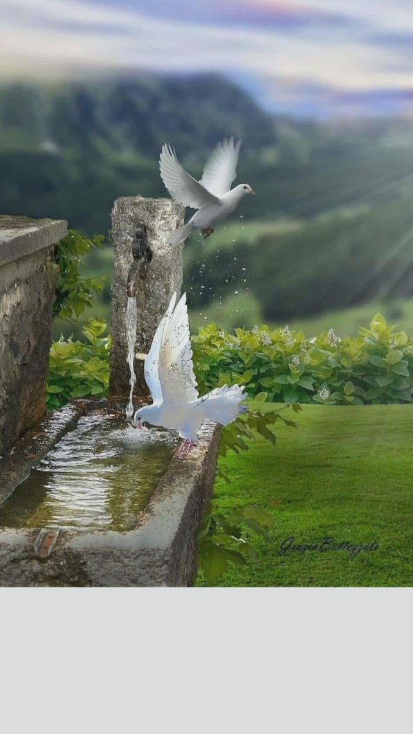 доброго утра природа