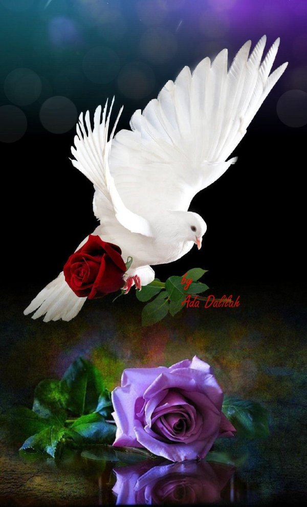 святой дух голубь