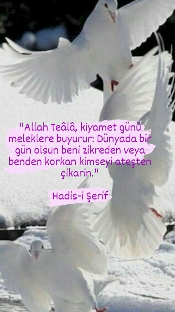 птица зимняя