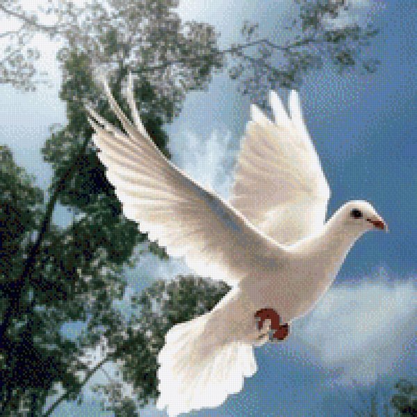 Доброе утро голуби