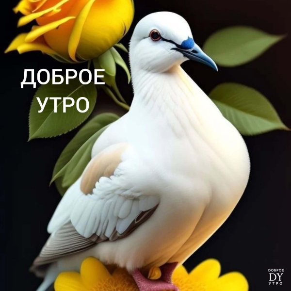 добра утра