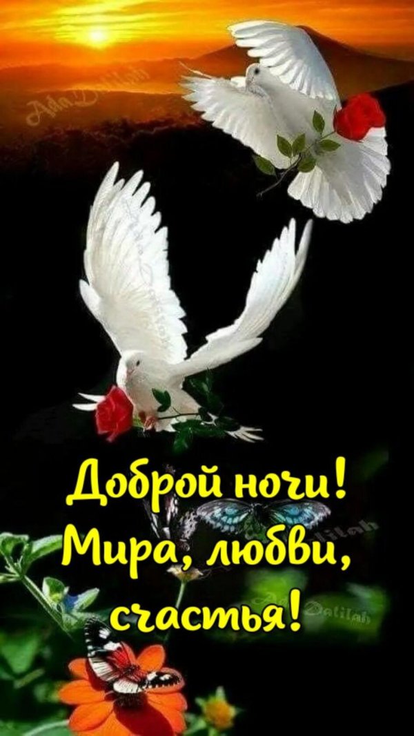 спокойной ночи цветы и птицы