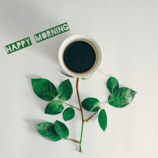 кофе зелень