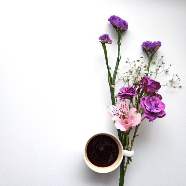 с добрым утром красивая открытка