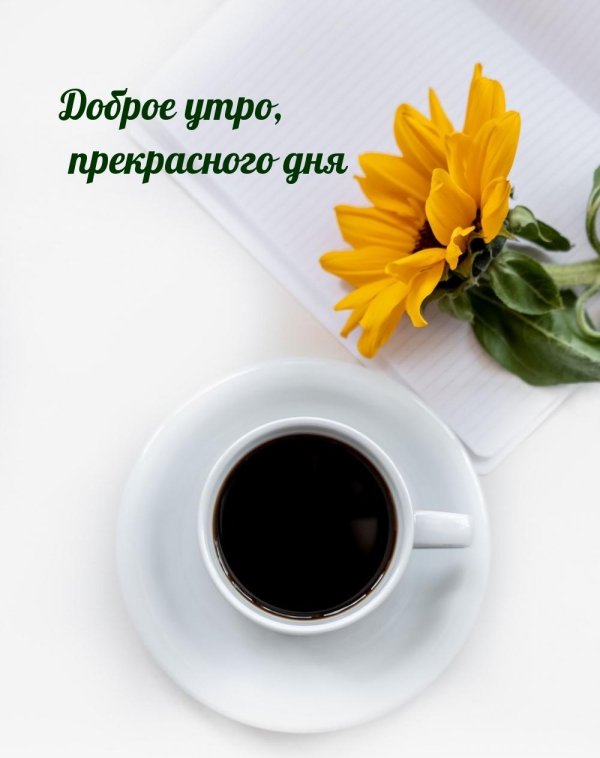 доброго утра доброго дня