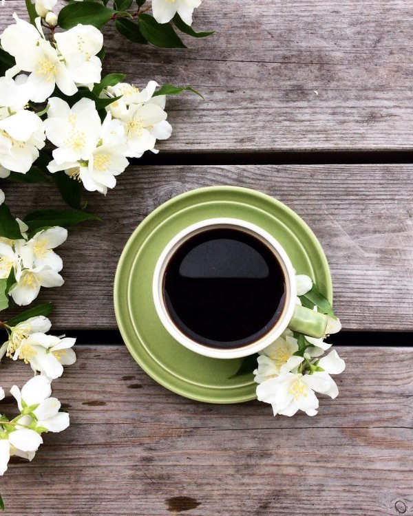 доброго утра весеннего