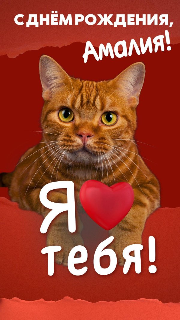 амалия с днем рождения