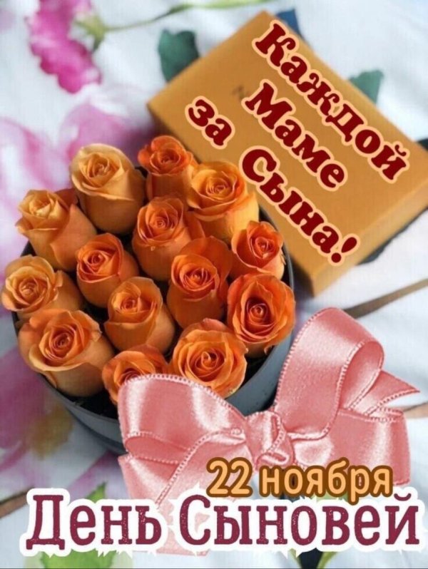 оранжевая роза