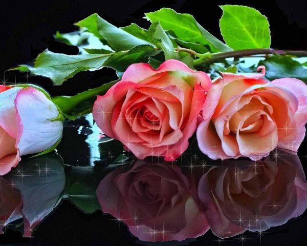 красивой женщине красивые цветы