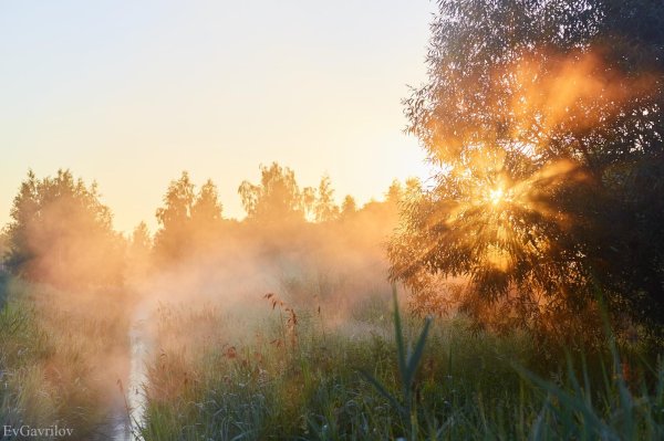 утренние пейзажи