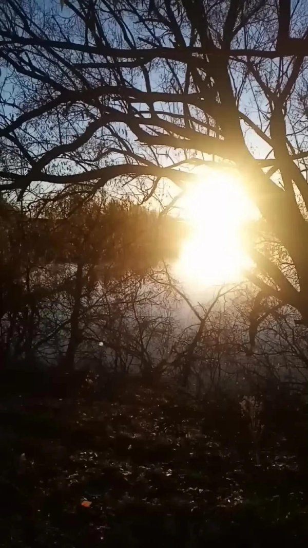 утро восход