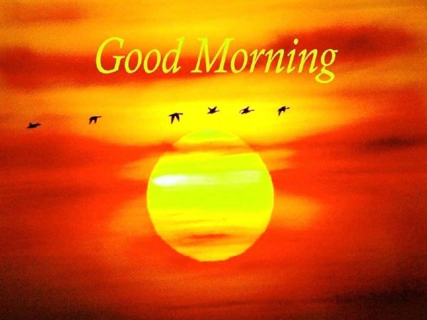 good morning гифы