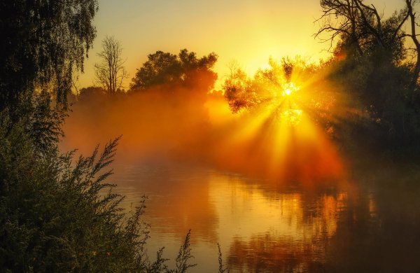 утреннее солнце