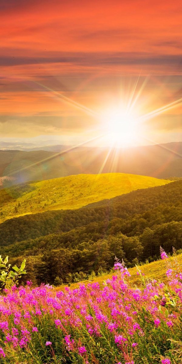 красивые рассветы