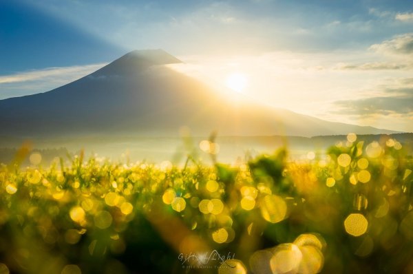 лучами солнца