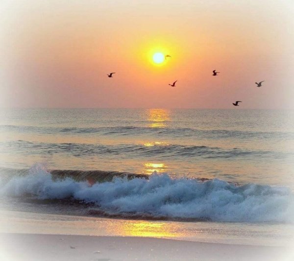 азовское море