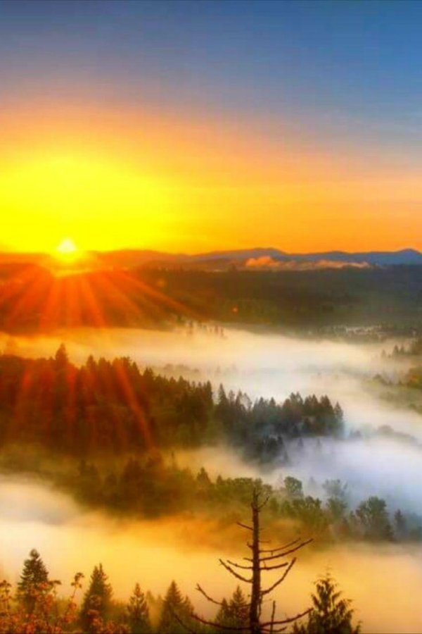 утренние пейзажи