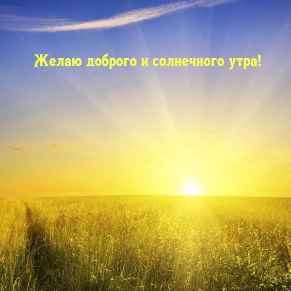 солнечного утра