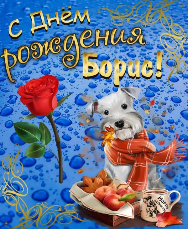 с рождением сына