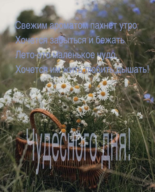 доброго утра лета