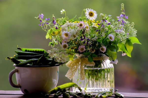 летние букеты