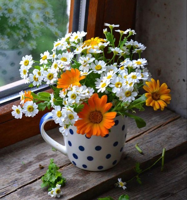 цветочное утро