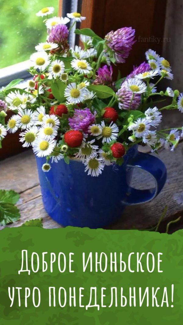 доброго июньского утра