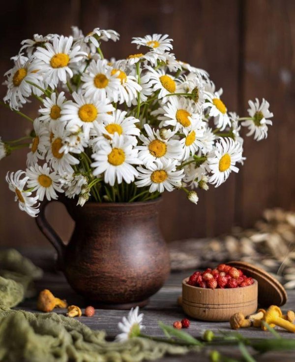 натюрморт летний