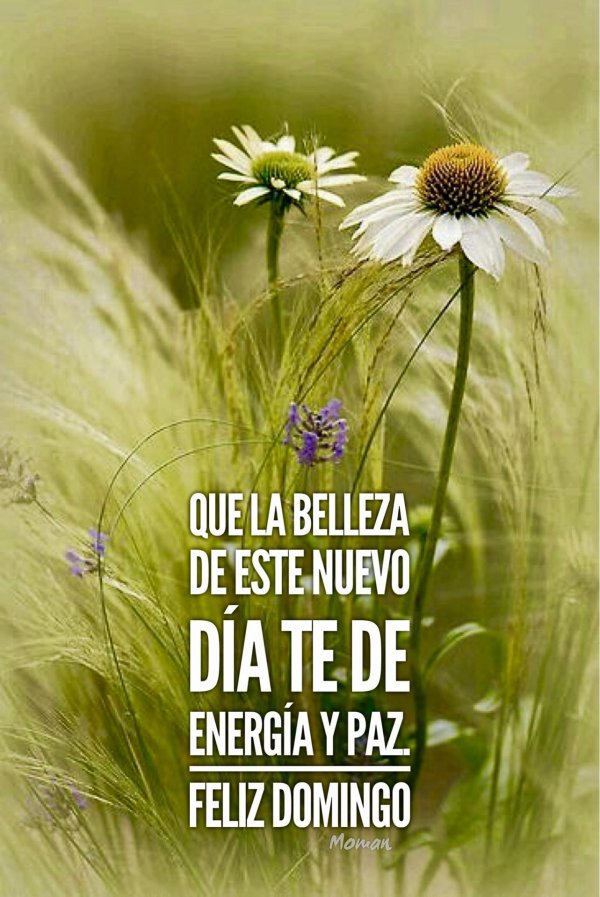 buenos dias imágenes