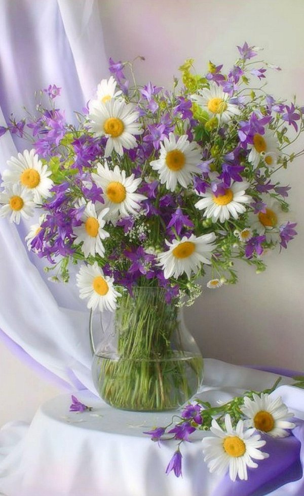 букет полевых цветов