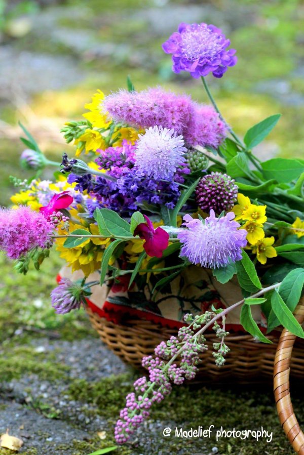 летние открытки