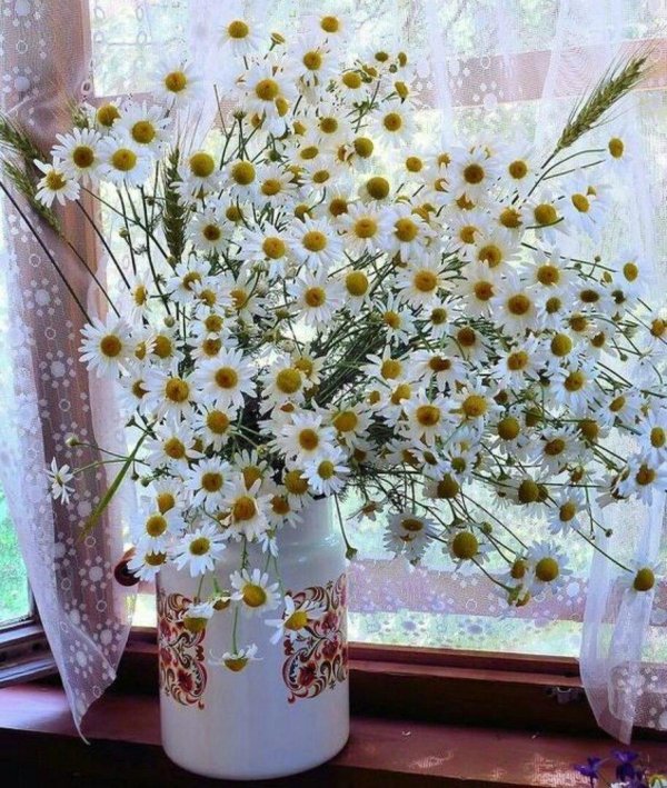 букет ромашек