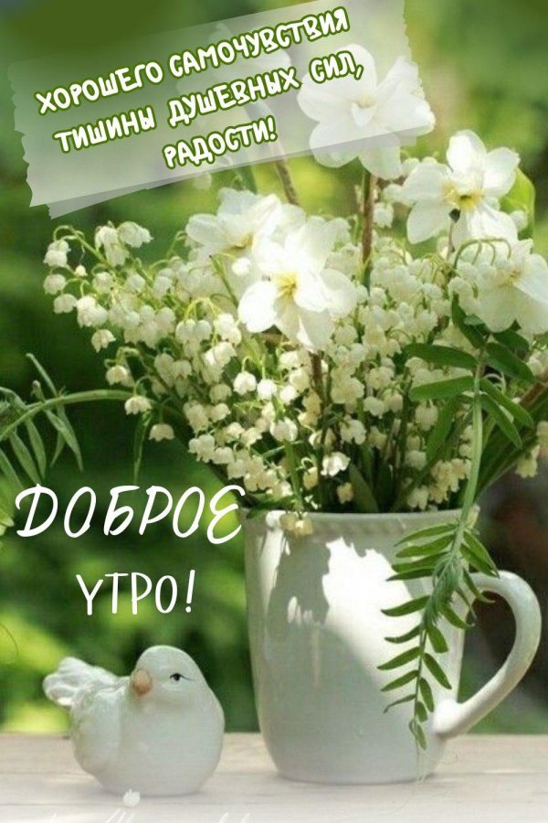 доброго утра весна