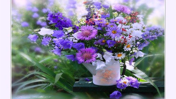 открытка с полевыми цветами