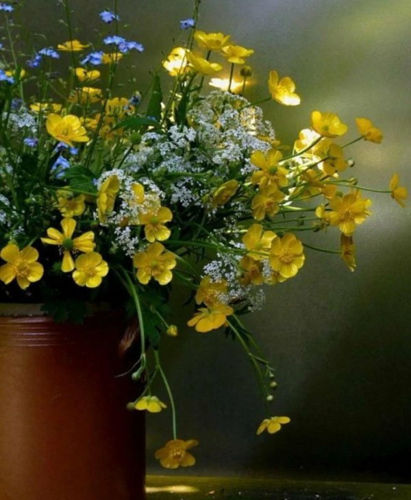 Доброе утро полевые цветы