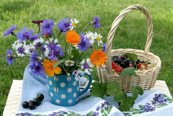 летние открытки