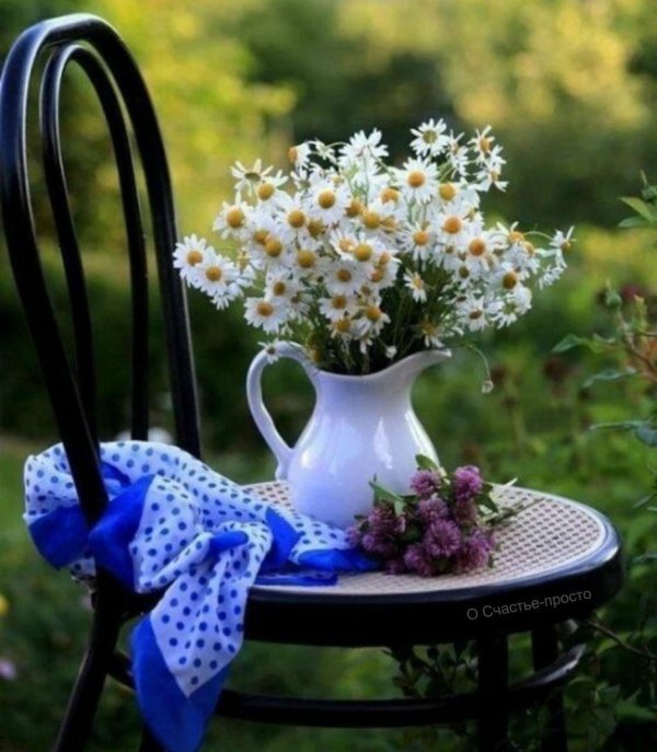 доброе утро в цветах