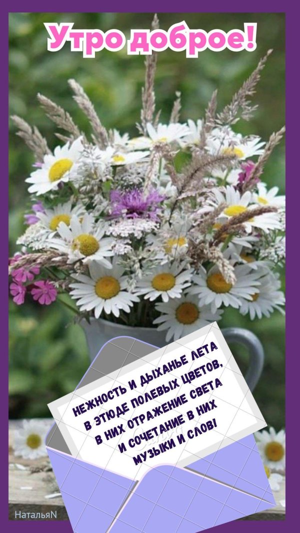 ромашки доброе утро