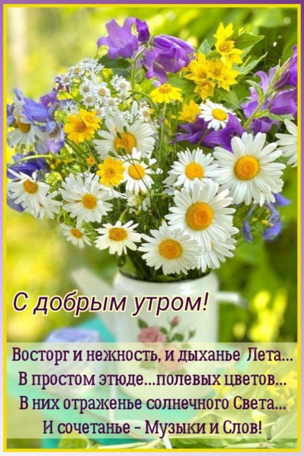 открытки с добрым июльским утром самые красивые