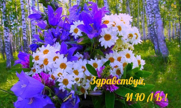 открытка с полевыми цветами