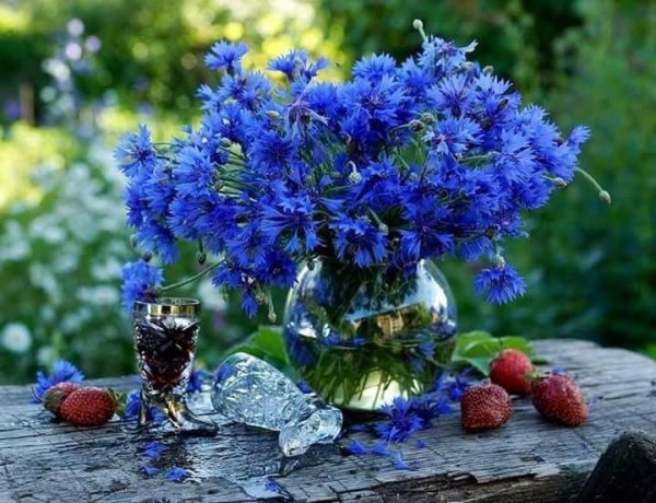 букет васильки