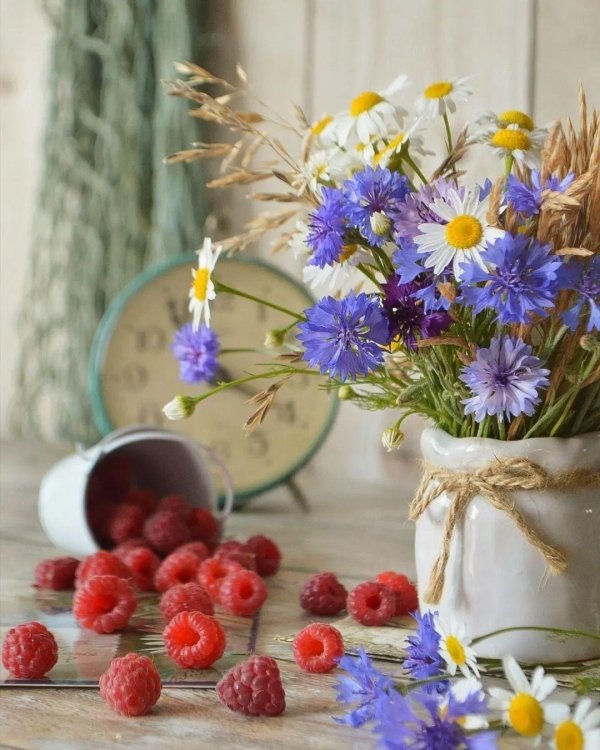 летнего утра