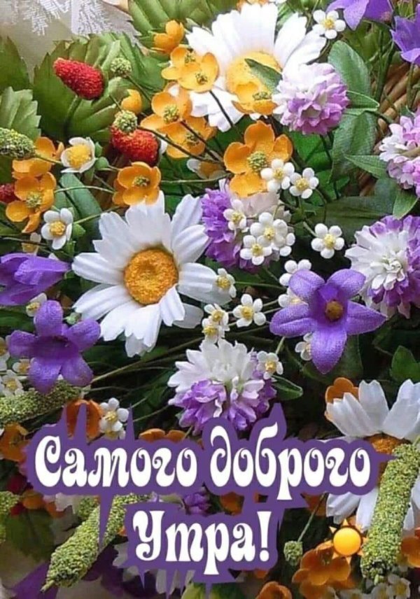 пожелания доброго утра