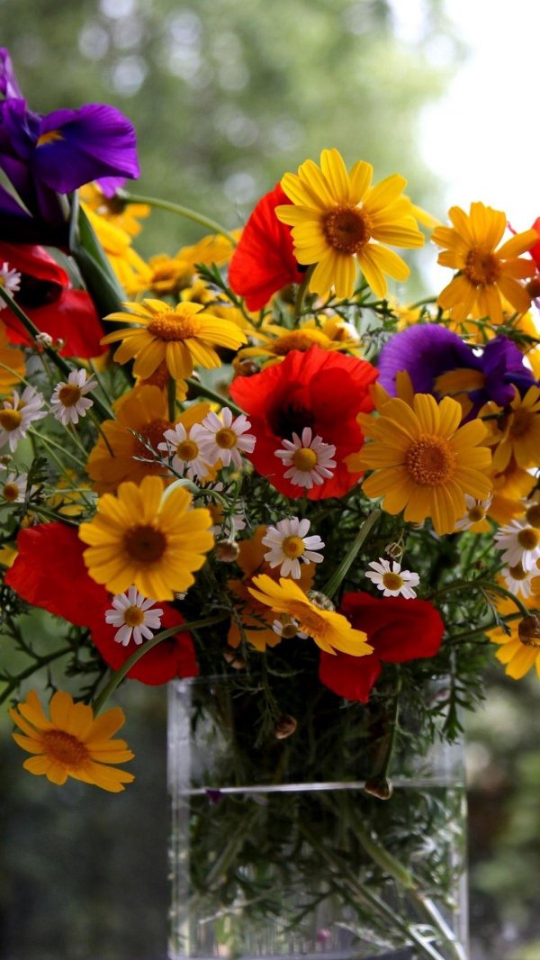 красивые летние букеты